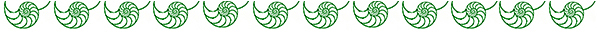 nautilus-border nautilus-border